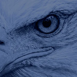 Forza eagle brand background