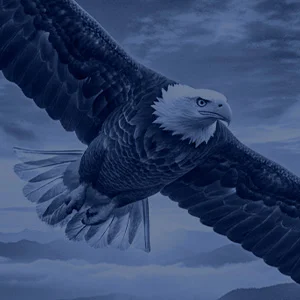 Forza eagle brand background