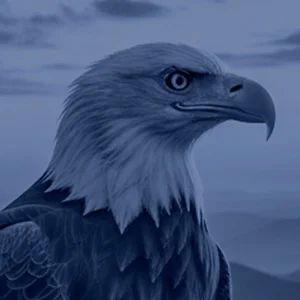 Forza eagle brand background